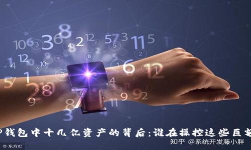 内容
探讨TP钱包中十几亿资产的背后：谁在操控这些巨额资金？