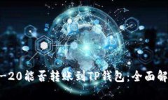 ## TRC-20能否转账到TP钱包：全面解析与